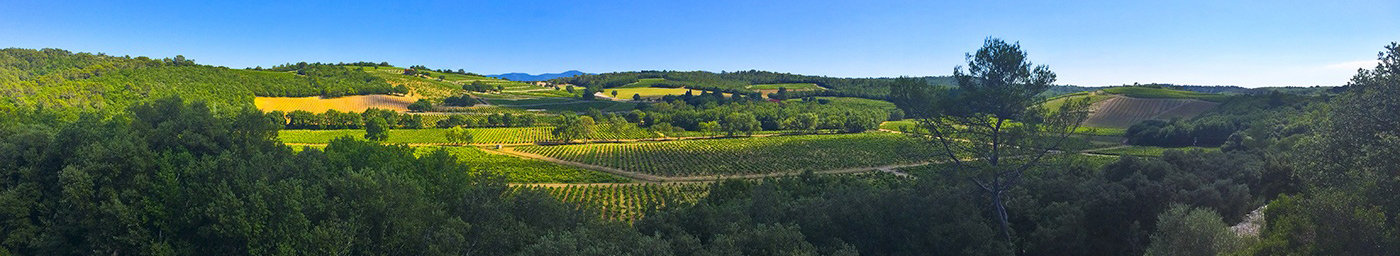 Thibaud Desprets, Propriétés et Domaines