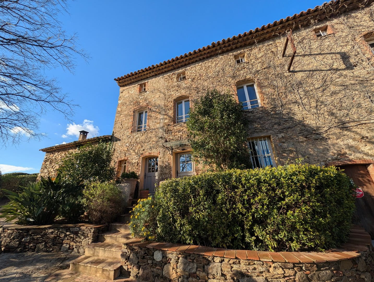 Olive grove property