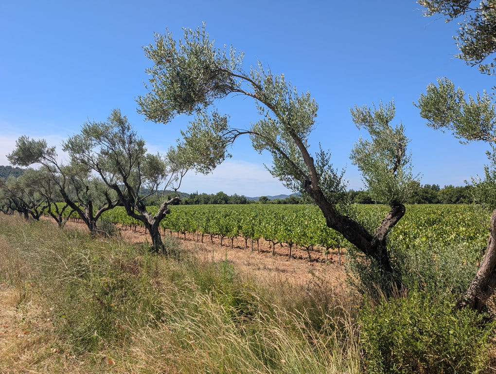 Just inland from Hyères