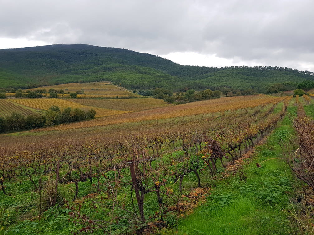 AOP Côtes de Provence