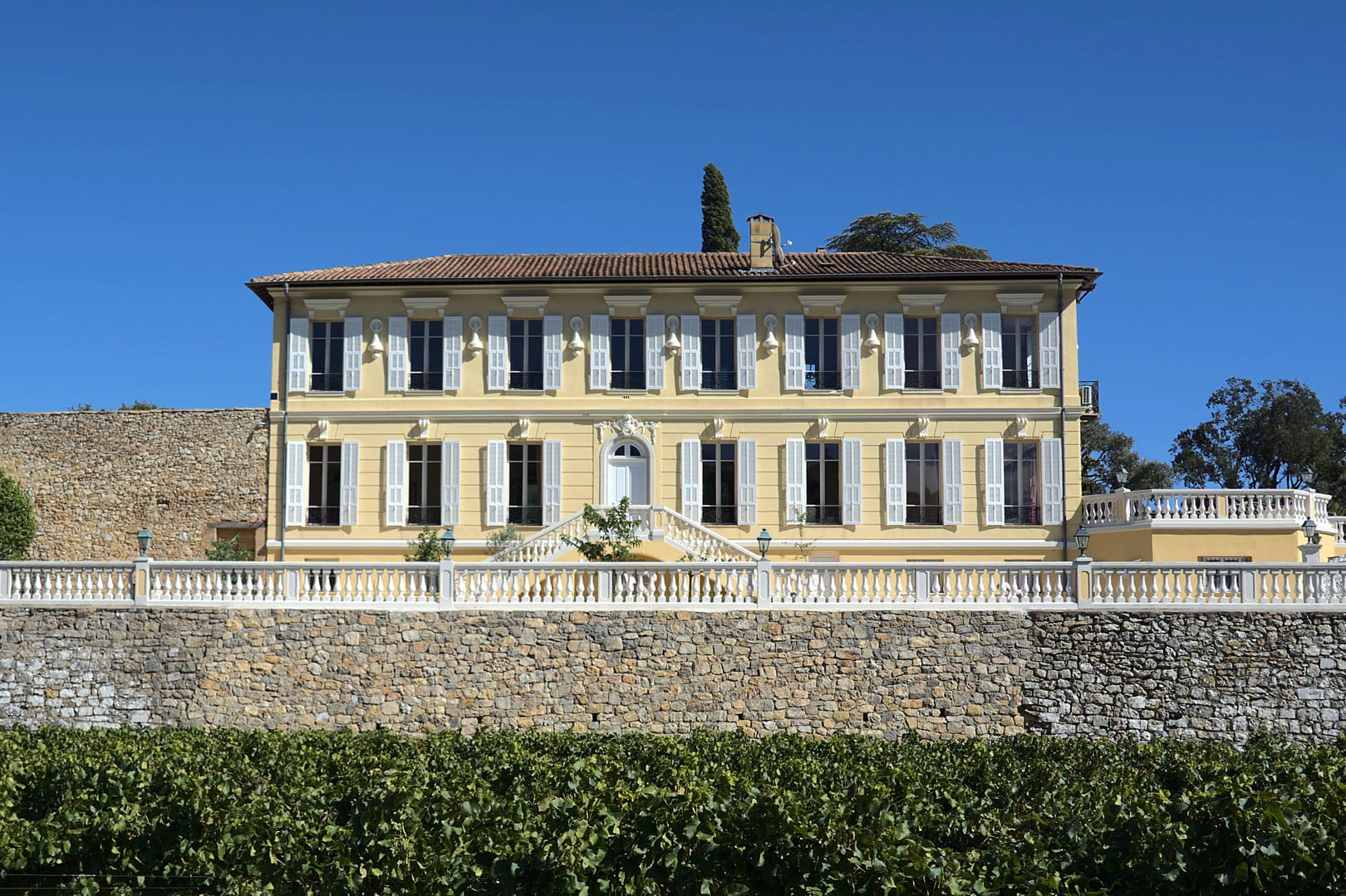 Vineyard estate for sale Provence