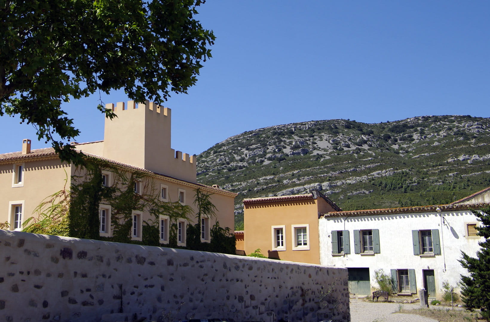 A large wine estate in AOP Corbières