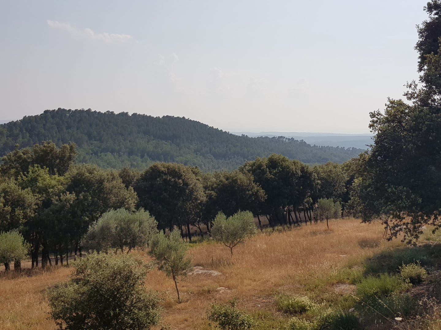 Grande propriété à vendre en Provence