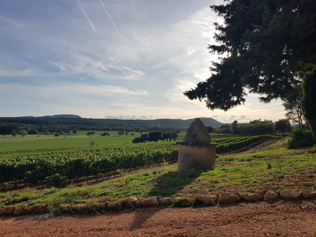 A great wine estate inland Var