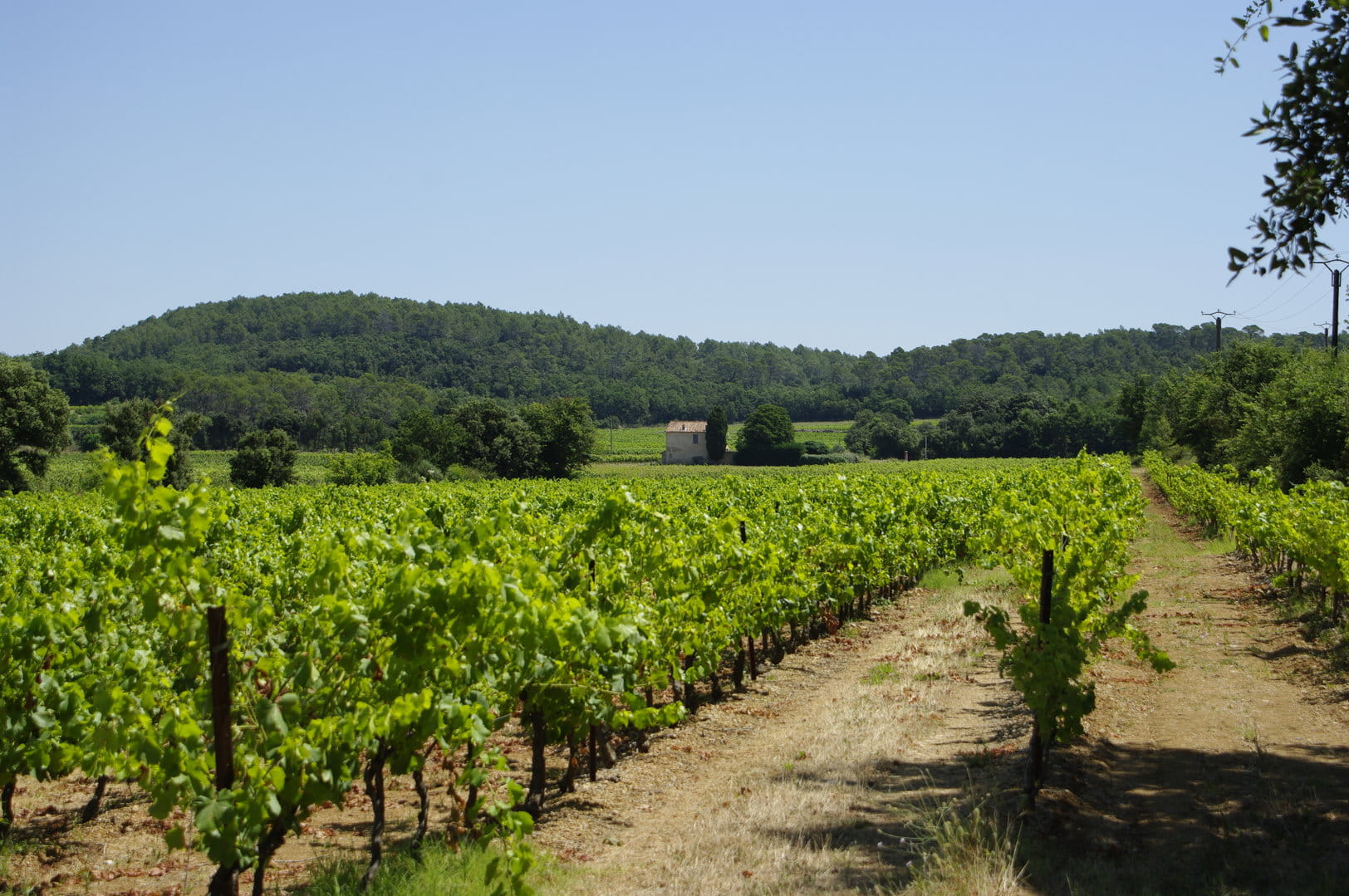 Centre Var - Propriété viticole tournée vers l'évènementiel