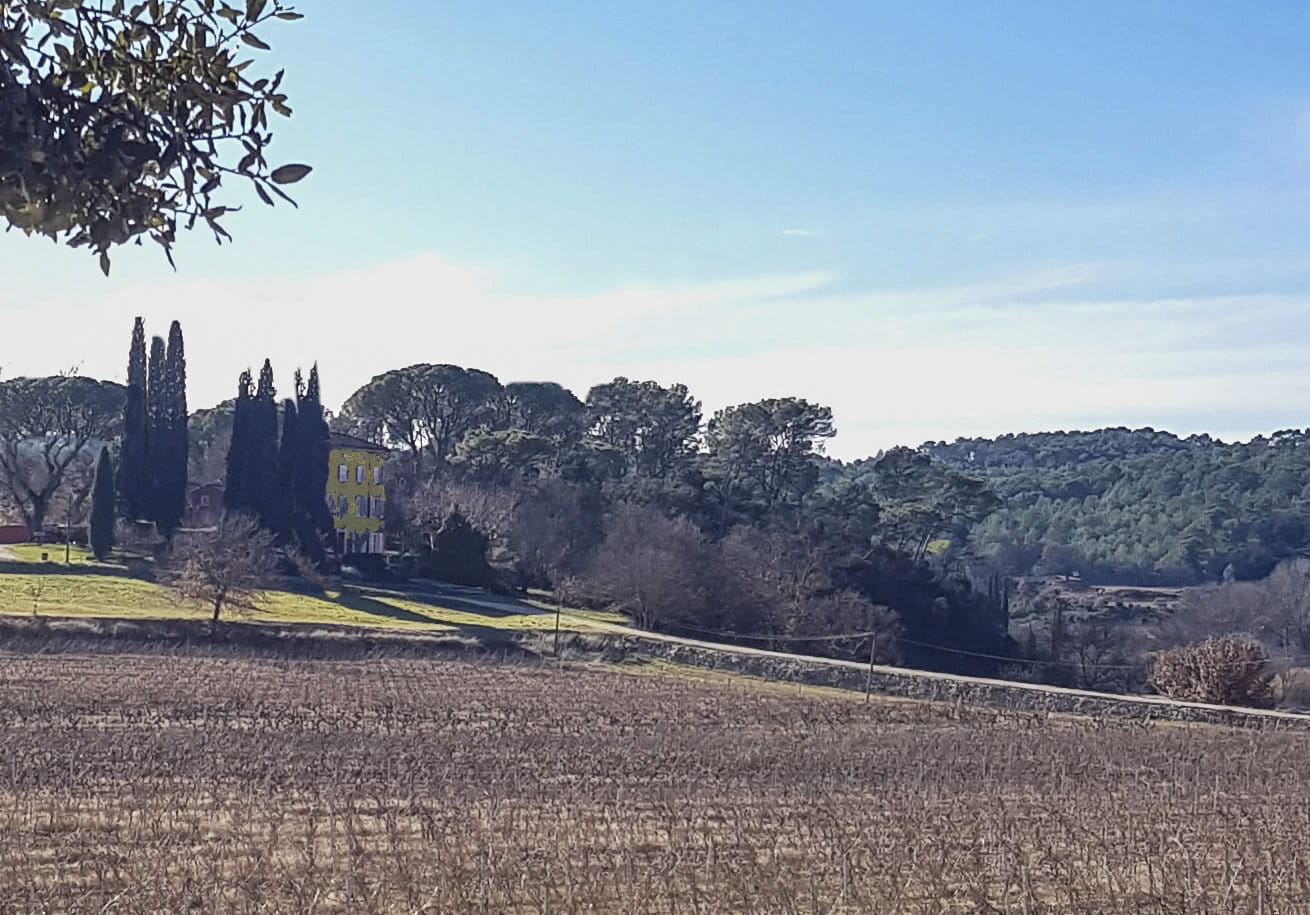 Vineyard estate for sale in Cotignac