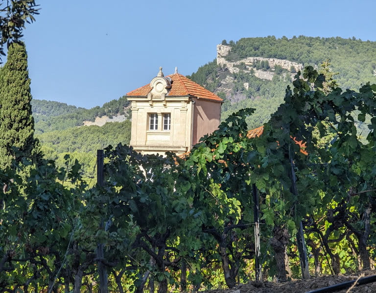Great wine estate in Cassis