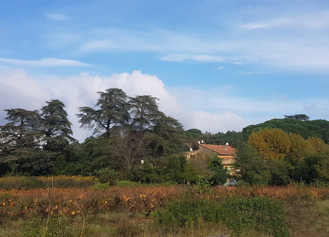 Domaine_Viticole_a_Vendre_Provence Domaine_Viticole_a_Vendre_Provence