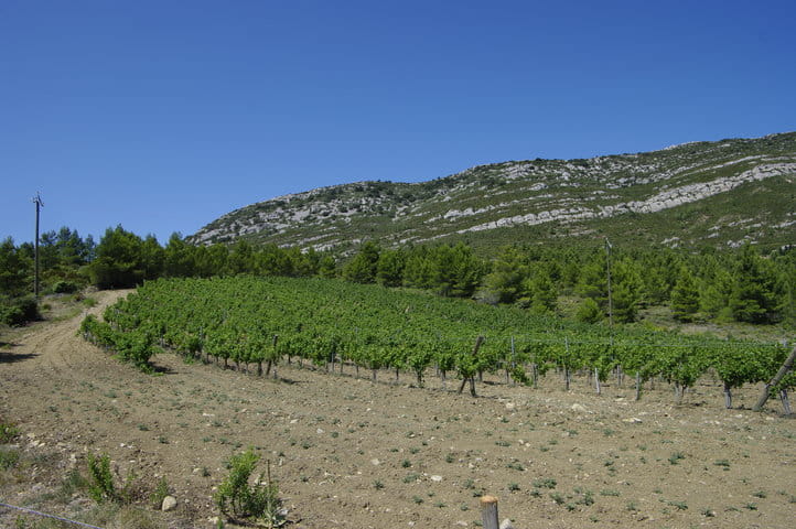 _IGP9465 _IGP9465