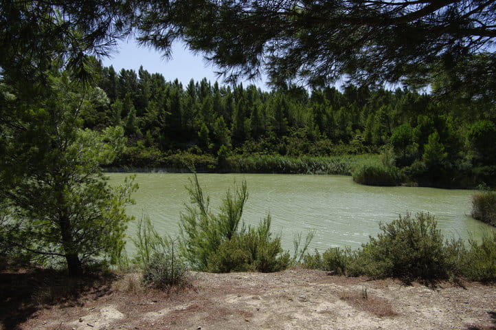 _IGP9476 _IGP9476
