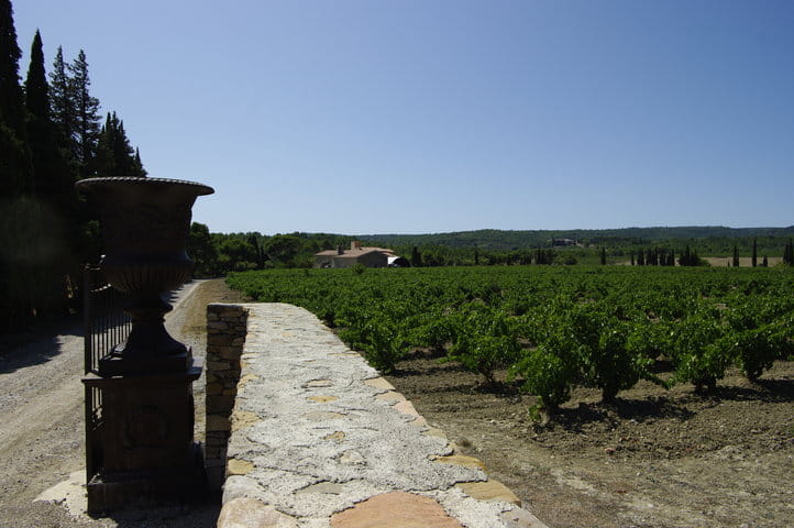 _IGP9464 _IGP9464