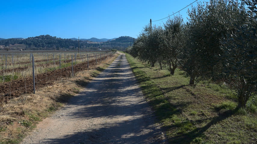 DSC01270_25%_non_edited DSC01270_25%_non_edited