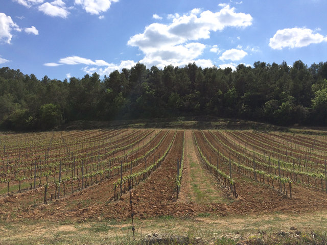 Domaine Viticole Luberon Domaine Viticole Luberon