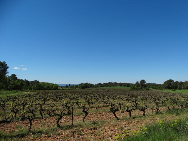 DSC06420 DSC06420