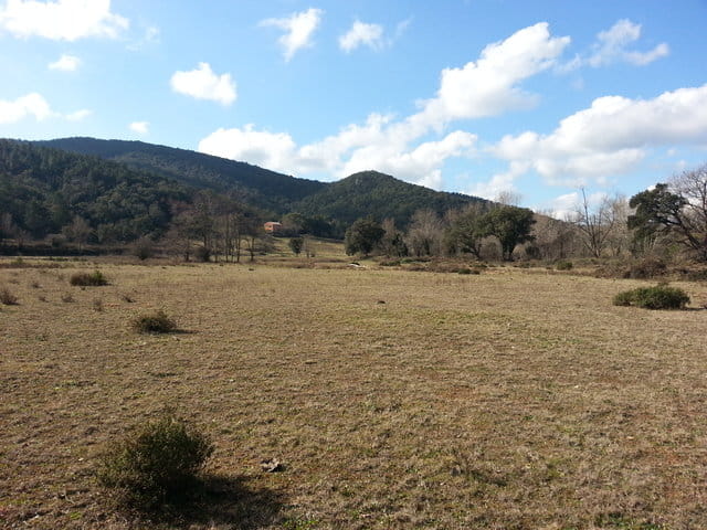 20130216_112242 - Copie 20130216_112242 - Copie