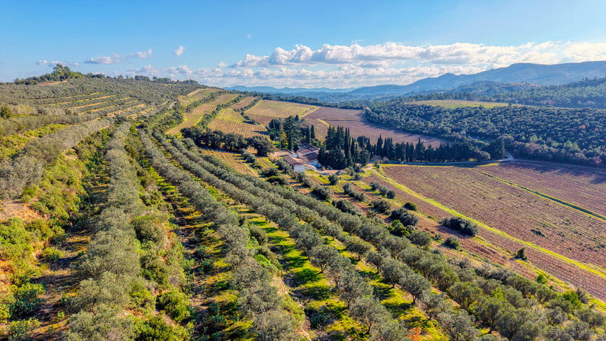 DJI_FLY_20241212_130242_0070_1734005777682_PHOTO_9 Edited_280325 DJI_FLY_20241212_130242_0070_1734005777682_PHOTO_9 Edited_280325