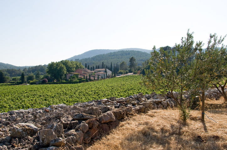 paysage-depuis-oliviers-scaled paysage-depuis-oliviers-scaled