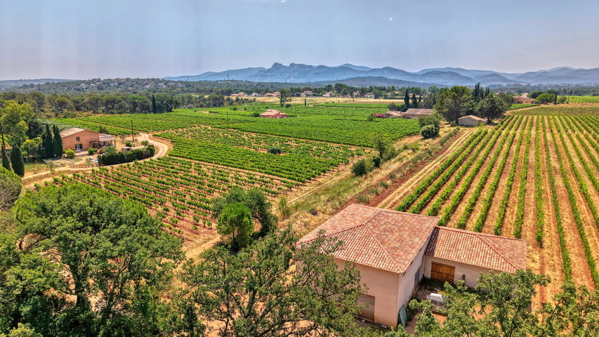 DJI_FLY_20250626_125032_0061_1751467097555_PHOTO_10_25%_non_edited DJI_FLY_20250626_125032_0061_1751467097555_PHOTO_10_25%_non_edited