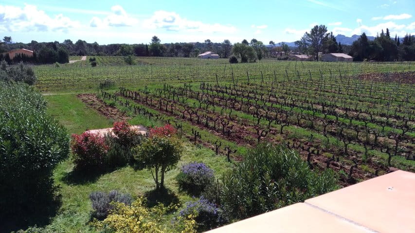 P_20190426_114444 P_20190426_114444