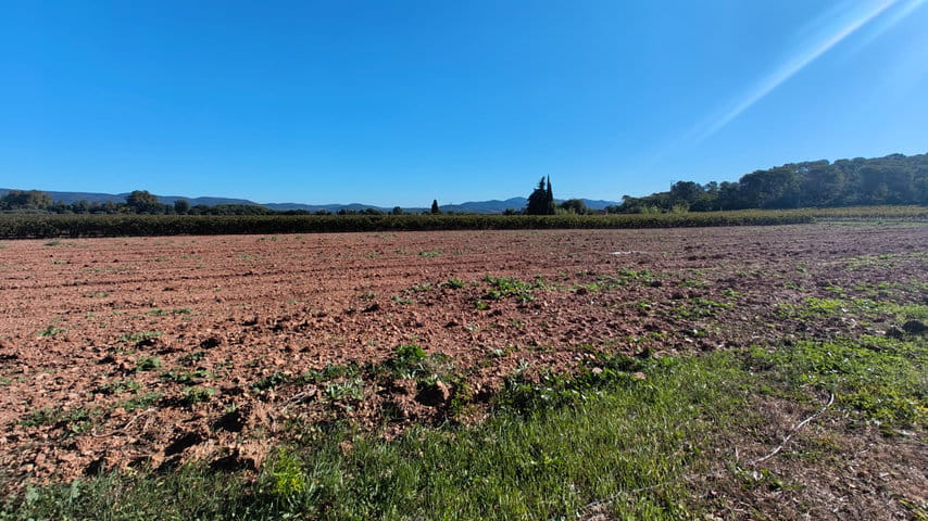 WhatsApp Image 2025-11-19 at 09.45.31 (4)