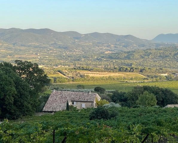 WhatsApp Image 2024-11-09 at 12.15.04_19370a15