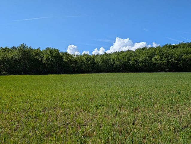 PXL_20250513_084025123