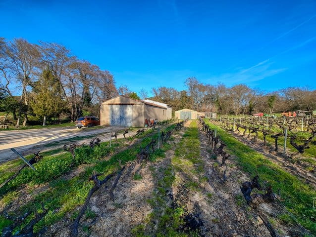 IMG_20260218_160506207_1