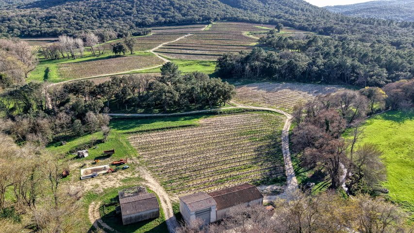 dji_fly_20260218_153444_0080_1771434675564_photo_6