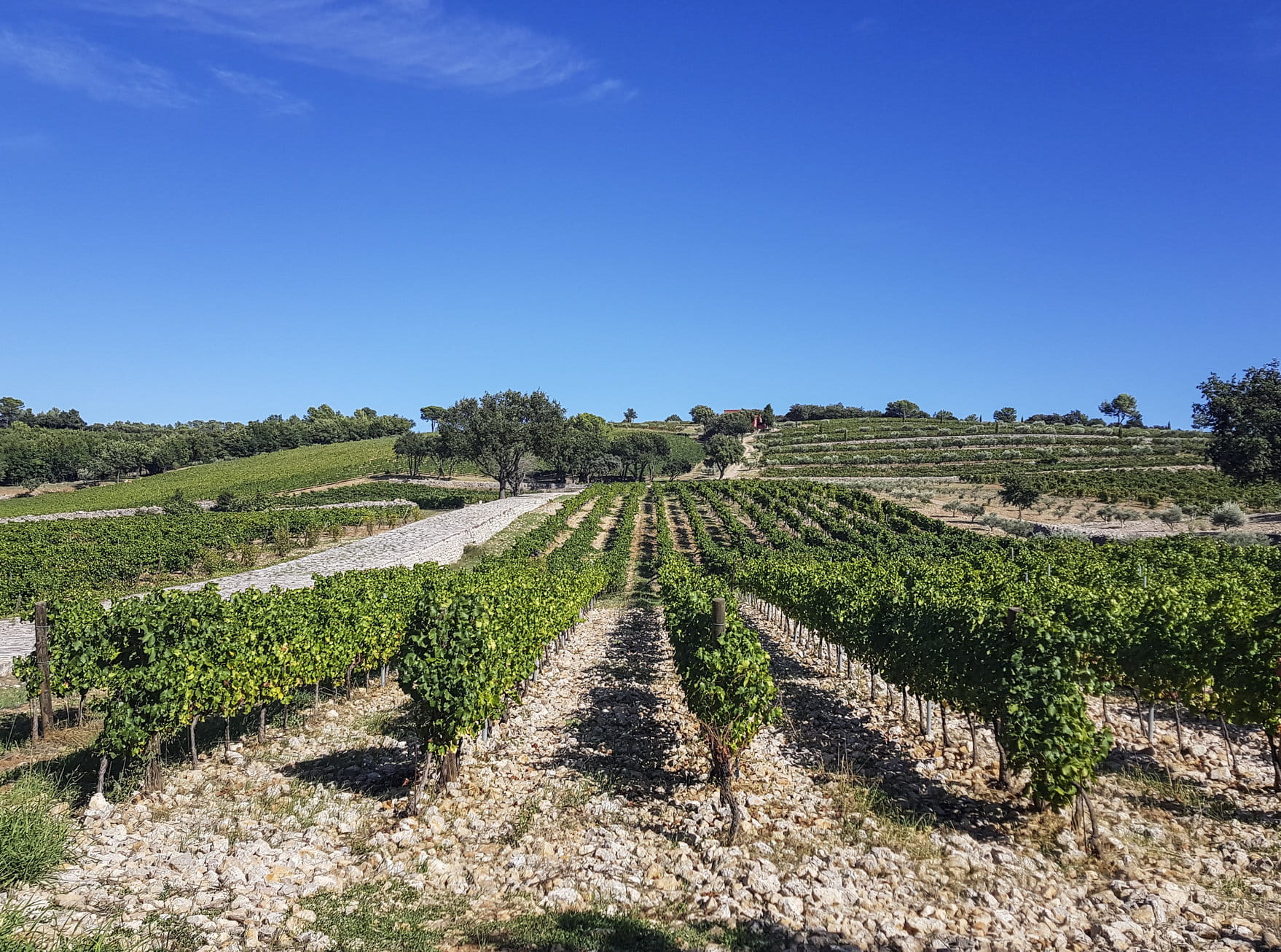 Domaine Côtes de Provence