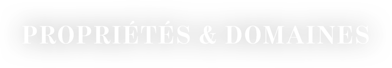 Logo de l'agence Thibaud Desprets - Propriétés et Domaines Viticoles en Provence